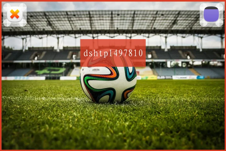 dshtpl497810