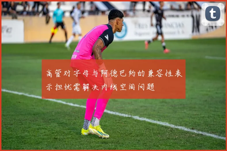 高管对字母与阿德巴约的兼容性表示担忧需解决内线空间问题