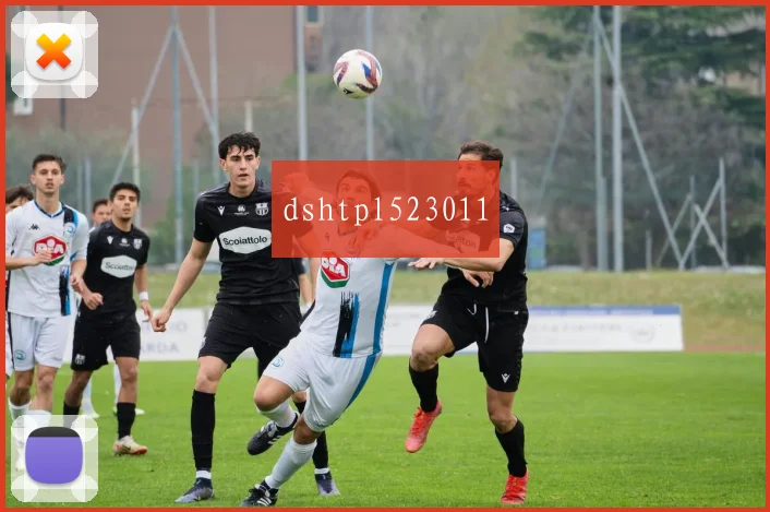 dshtpl523011