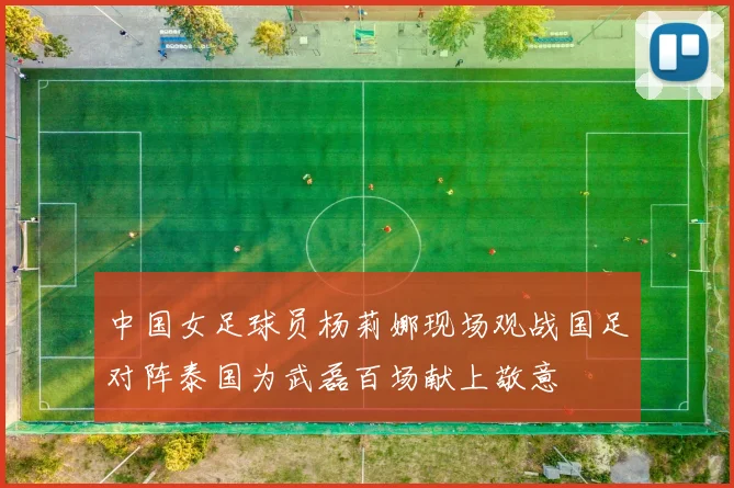 中国女足球员杨莉娜现场观战国足对阵泰国为武磊百场献上敬意